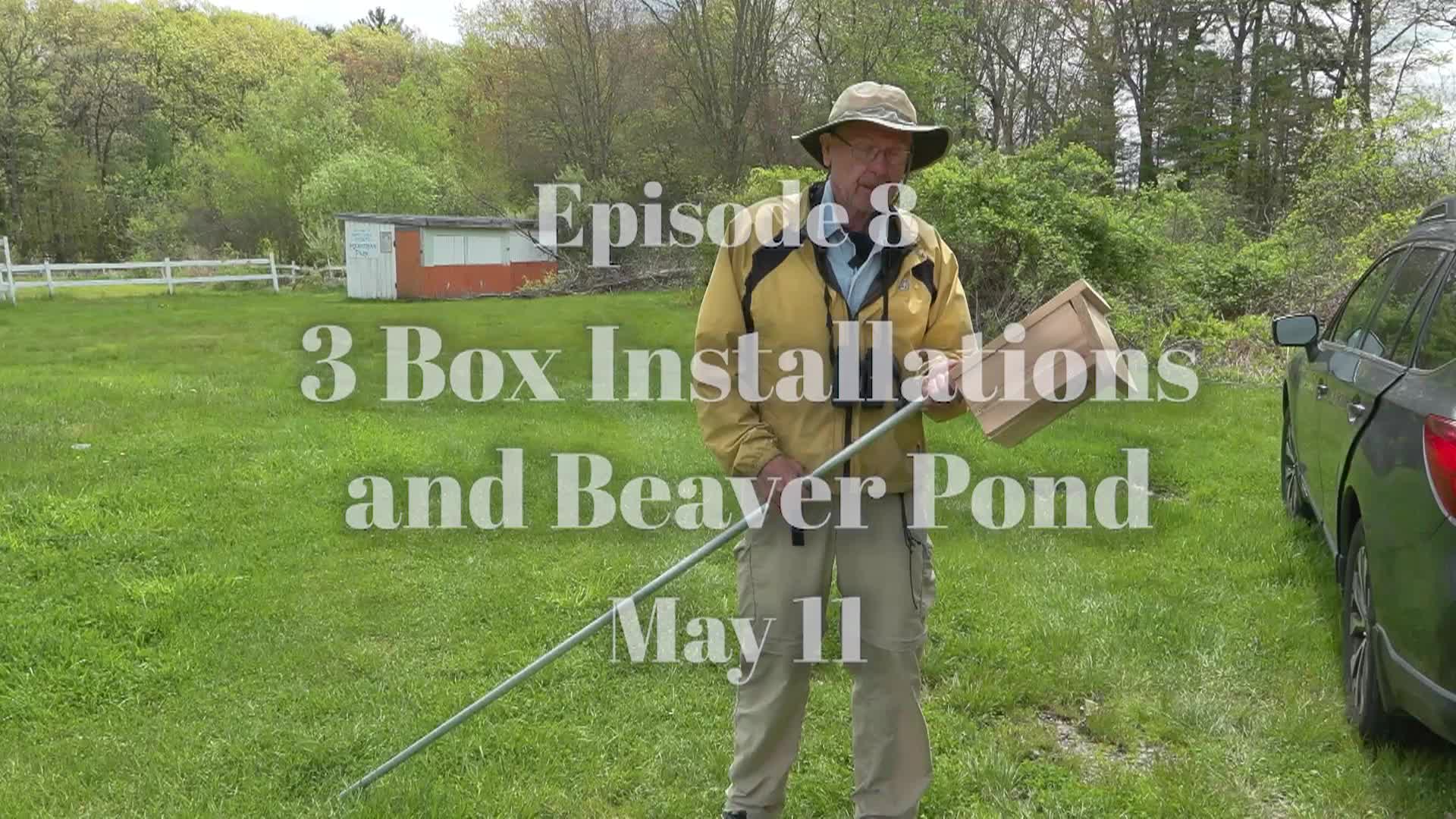 Thumbnail image for Bluebird Restoration Project - Box Installations and Beaver Pond Episode 8
