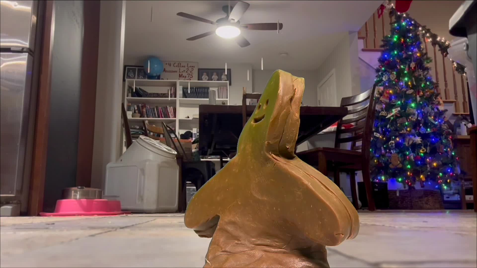 DHNN - December 22, 2025